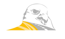 Client 37